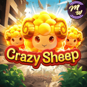 CRAZY SHEEP